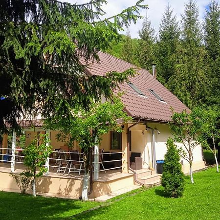 Hotel Casa Aris Lepsa Vrancea Exterior foto