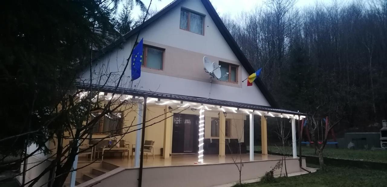 Hotel Casa Aris Lepsa Vrancea Exterior foto