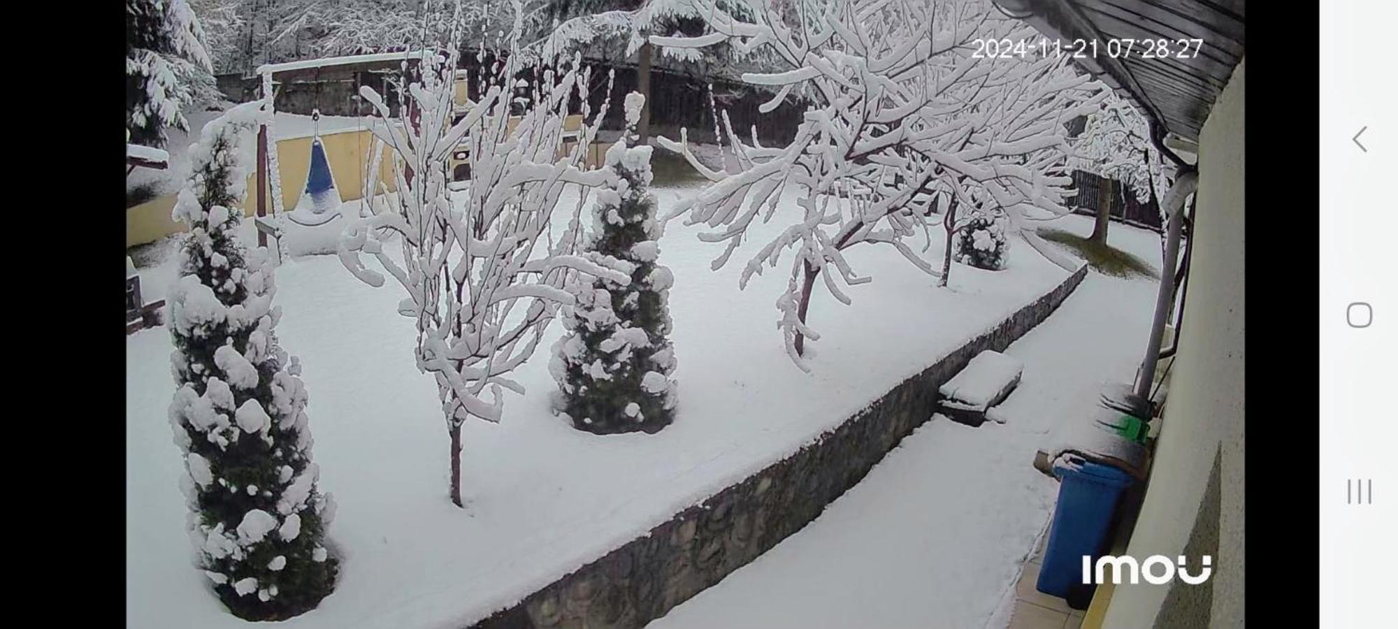 Hotel Casa Aris Lepsa Vrancea Exterior foto