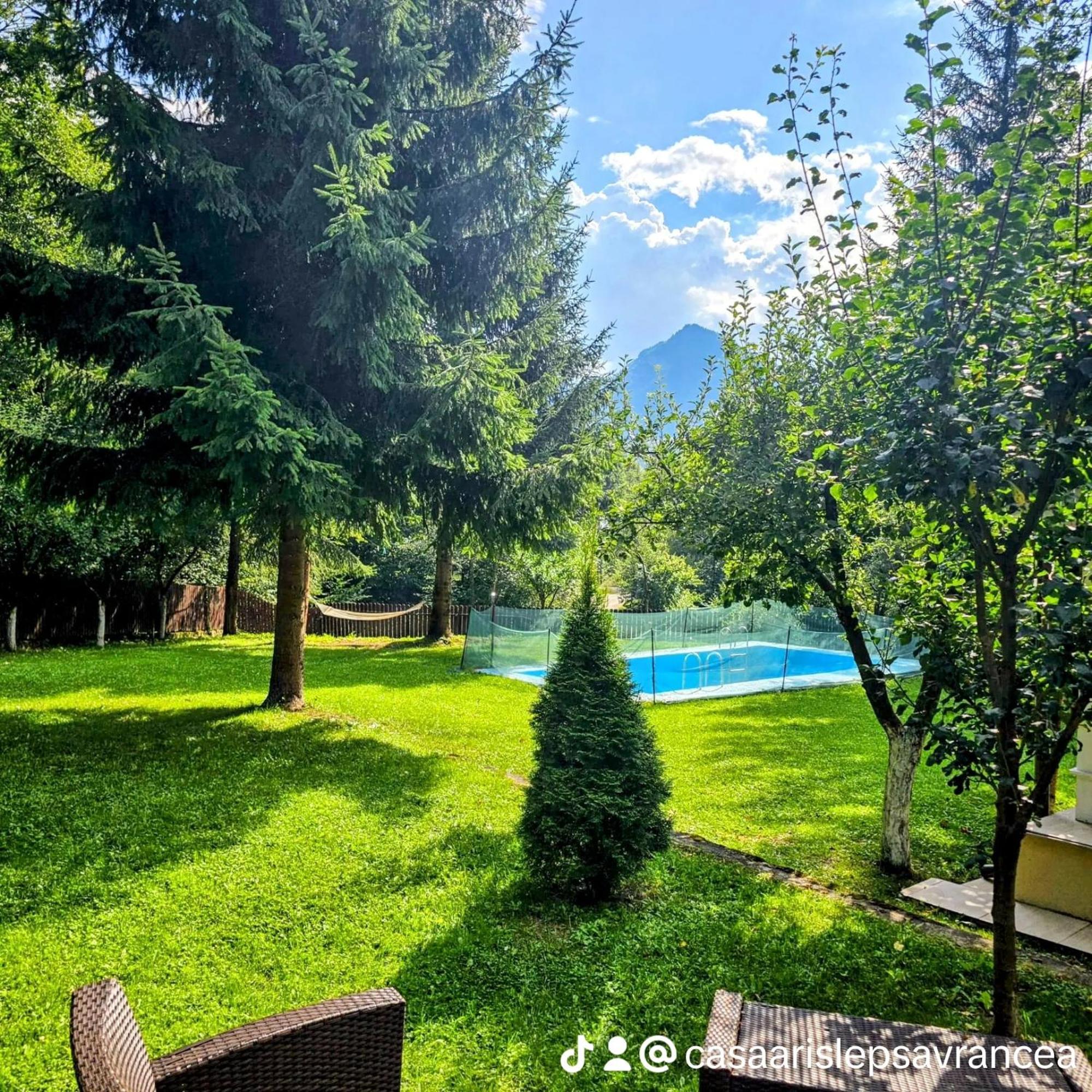 Hotel Casa Aris Lepsa Vrancea Exterior foto